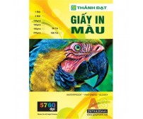 Giấy Thuốc In Chuyển Nhiệt 2 Mặt