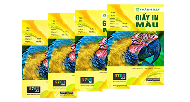 GIẤY IN MÀU KHỔ A3 ĐỊNH LƯỢNG 130G (1)