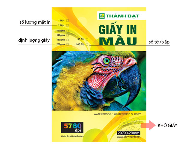 giay-thuoc-in-mau